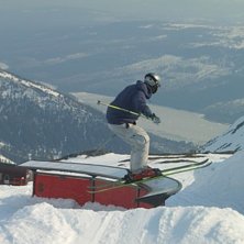 Photo: Stefan JOhansson. Rider: Peter L&ouml;nn.