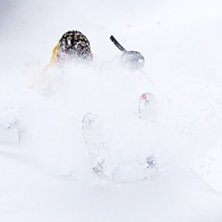 POW!. Photo: Jesper Molin. Rider: Henrik Utter.