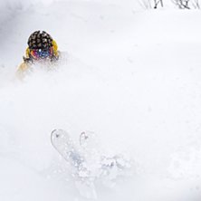 Photo: Jesper Molin. Rider: Henrik Utter.