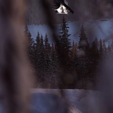 Sk&ouml;n dag i parken med pappa Jesper Molin och jag!. Photo: Johan St&aring;hlberg. Rider: Vet ni vem?.