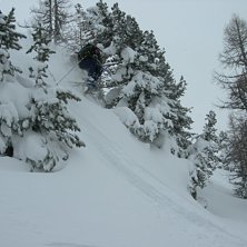 En fin dag i dr&ouml;mskogen. Photo: Lyngen Mattias. Rider: Magnus Kron.