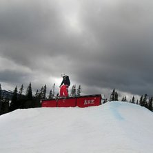 Photo: Johan Sj&ouml;gren. Rider: Mattias Martinsson.