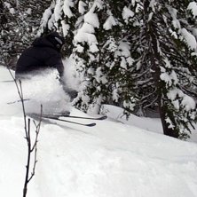 . Photo: Andreas Ljunggren. Rider: Jonas Sj&ouml;din.