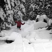 Sn&ouml;n bl&aring;ste ned i skogen.... Photo: Anna H&uuml;binette. Rider: Magnus Eriksson.