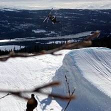 Stefan borde bli fotomodell, han posar riktigt sny. Photo: Lee Myhr. Rider: Stefan Persson.