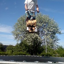 this is living. Photo: one of my hoomies. Rider: tor.