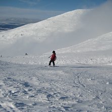 i &aring;re.. Photo: Agnes Wiklund. Rider: Andrea.