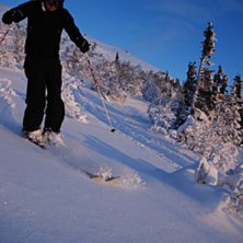 Photo: Johan Anderzen. Rider: Kent Johansson.