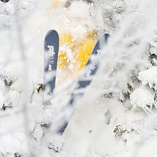 Tr&aring;ngt! Notera granen till h&ouml;ger, den f&ouml;ljde me. Photo: Jesper Molin. Rider: Henrik Utter.