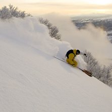 Photo: Jesper Molin. Rider: Henrik Utter.