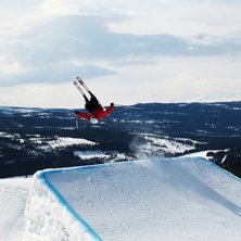 Rider:       .