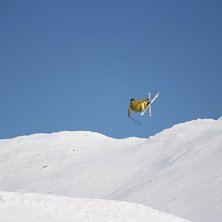 Ett g&auml;ng duktiga norrm&auml;n i Stendalen.
. Photo: Patrik Jansson.