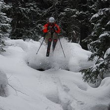 En mycket bra dag i skogen!. Photo: Carl Lindberg. Rider: Emil Kullberg.