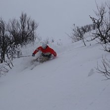 Photo: Jerrie Kullberg. Rider: Emil Kullberg.