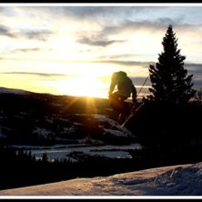 S&auml;g vad ni tycker om mina bilder, det uppskattas.. Photo: Oliver Holm.