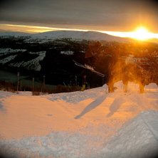 kan ju inte s&auml;ga att hoppet var s&aring; stort men de . Photo: johan sj&ouml;gren. Rider: moi.