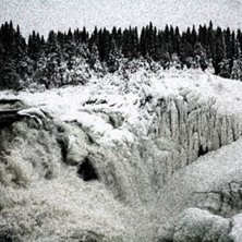 Photo: Linn.