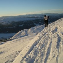 Photo: Niklas Edr&eacute;n. Rider: Robert Lindros.