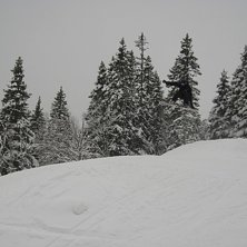 Photo: Svenne. Rider: Jag.