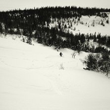 Photo: Marcus Jernstr&ouml;m. Rider: Petter Bj&ouml;rnsson.