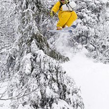Photo: Jesper Molin. Rider: Henrik Utter.