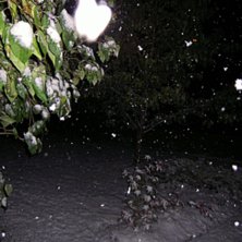 F&ouml;rsta sn&ouml;n f&ouml;r i &aring;r h&auml;r :D. Photo: Hampus Persson.