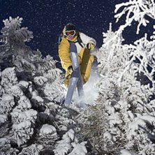 Photo: Jesper Molin. Rider: Henrik Utter.