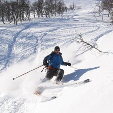 Mats ute p&aring; gr&ouml;nbete igen efter en stunds uppeh�. Photo: Tomas Halvarsson. Rider: Mats Synnersten.