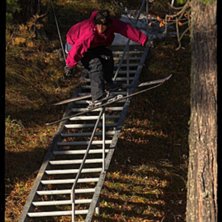 Photo: Mikkel Forsberg. Rider: Jonny Jonsson.