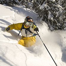 Pose a&acute;la stoppsladd. Photo: Jesper Molin. Rider: Henrik Utter.