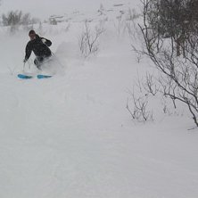 Photo: Martin Olofsson. Rider: Patrik Schjelvan.