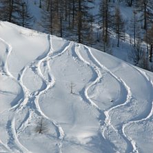 Puder hets i Cham!. Photo: Anders Ekberg.