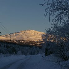 Betydligt b&auml;ttre start p&aring; vintern j&auml;mf&ouml;relsevi. Photo: Hans-Olof Lundgren.