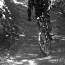 Flinbanan... Photo: Roger Hansson. Rider: Mikaela Sunneg&aring;rdh.