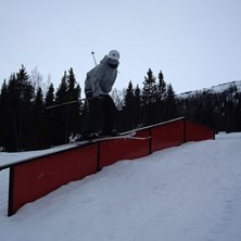 Rejl. Photo: Viktor Backman. Rider: Staffan Zackrisson.