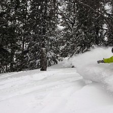 Mats &aring;ker lite i skogen i Duved efter en rej&auml;l p. Photo: Viktor Bjurlid. Rider: Mats Domarg&aring;rd.