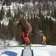 en solig dag i br&auml;cke. PS (jag var n&auml;ra p&aring; o k�. Photo: Fredrik Eriksson. Rider: Kenneth Jonsson.