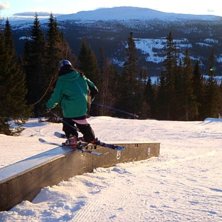Kinky.. Photo: Anna Hollander. Rider: Lee Myhr.