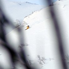 Photo: Johan St&aring;hlberg. Rider: Henrik Utter.
