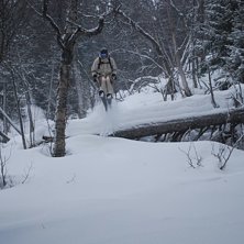Photo: Fredrik B&auml;ck. Rider: Torbj&ouml;rn B&auml;ck.