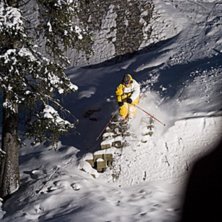 Photo: Jesper Molin. Rider: Henrik Utter.