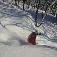 puder. Photo: Marcus L&ouml;fvenberg. Rider: Mattias L&ouml;fvenberg.
