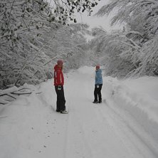 Massor med h&auml;rlig sn&ouml; i oktober!!. Photo: Maria Lidfors. Rider: Eilert o Nina.