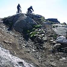 Photo: Roger Hansson. Rider: Mikaela Sunneg&aring;rdh &amp;amp; Robert Ryttse.