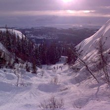 Helt ok &aring;kning i Duved, bara att de var r&auml;tts&aring; . Photo: Andreas H&auml;ll.