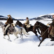 Photo: Erik Olsson. Rider: Lena Olg&aring;rd, Lizette Lagerstedt, Anders Bylund.