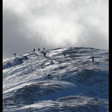 Dagen d&aring; solen kom fram backom molnen. . Photo: M&auml;rta Olson.