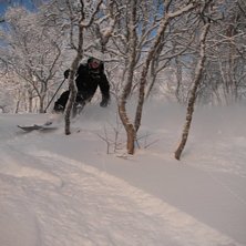 Photo: Robert Ljungerts. Rider: Jens Blomberg.