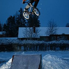 Photo: fidde. Rider: Axel Wahl&eacute;n.