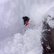 Photo: Jesper Molin. Rider: Johan Carlborg.